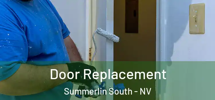  Door Replacement Summerlin South - NV