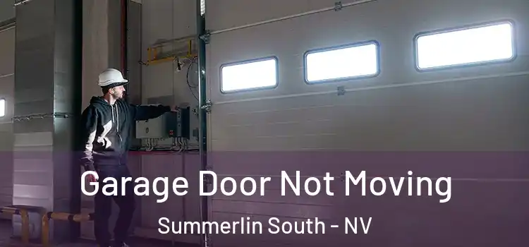  Garage Door Not Moving Summerlin South - NV