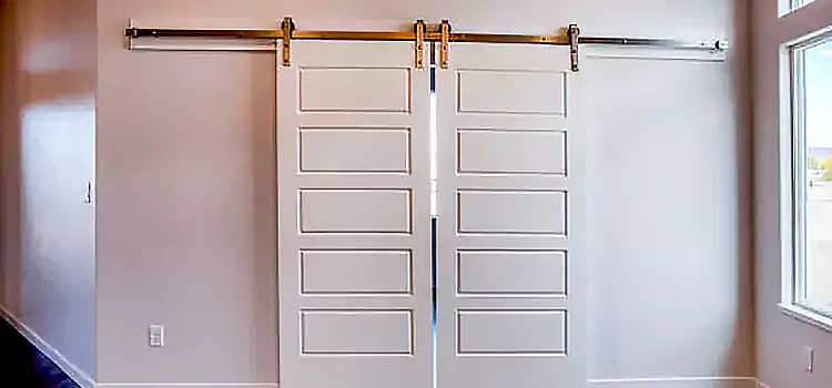 Glass Barn Door with Installation Hardware Kit Summerlin South