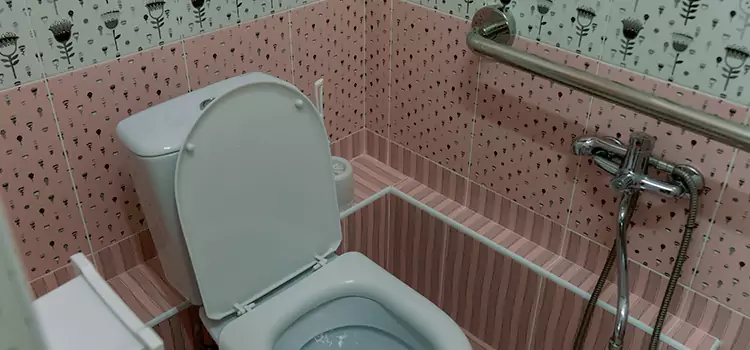 Meeting Diverse Needs With Accessible Restroom Solutions in Summerlin South, NV