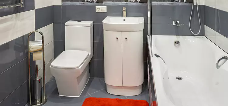 Hansgrohe Shaving Mirror Summerlin South